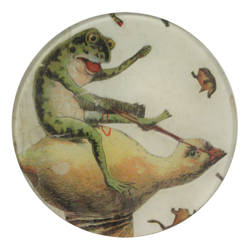 Riding Frog