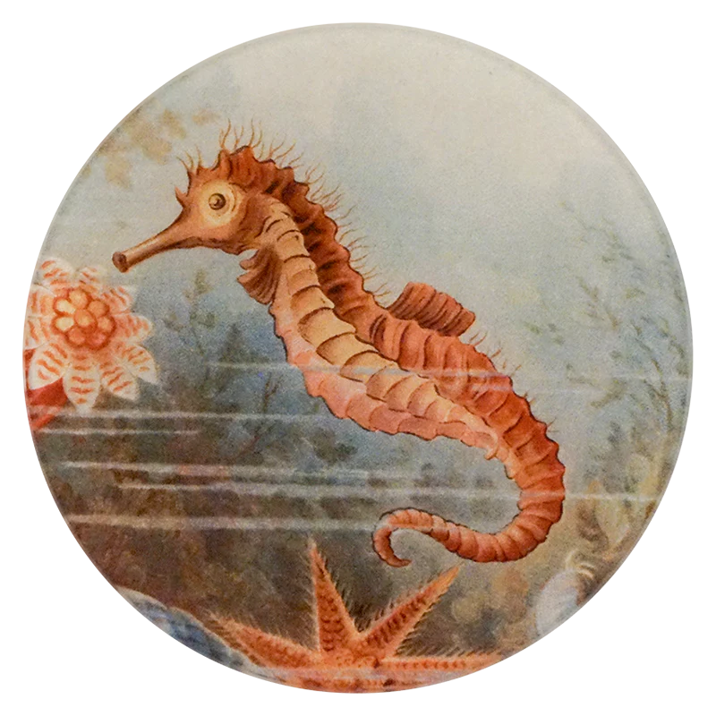 Seahorse