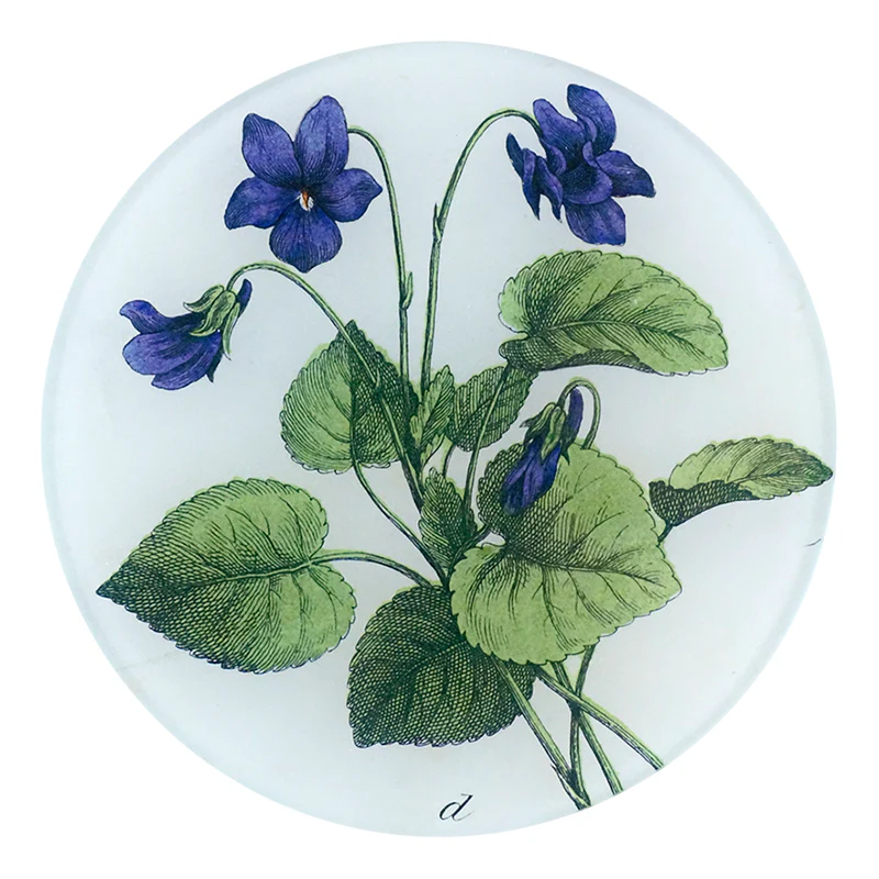 Violets