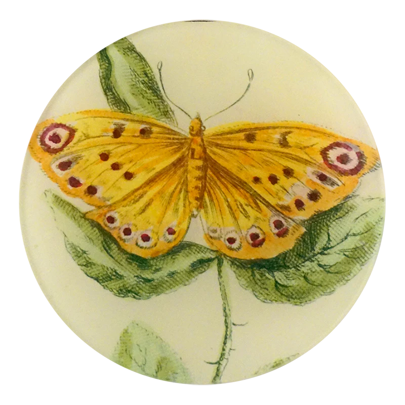 Yellow Butterfly