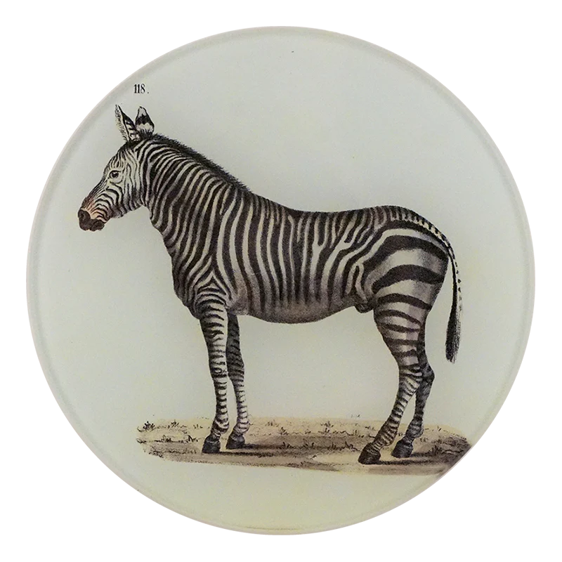 Zebra 118
