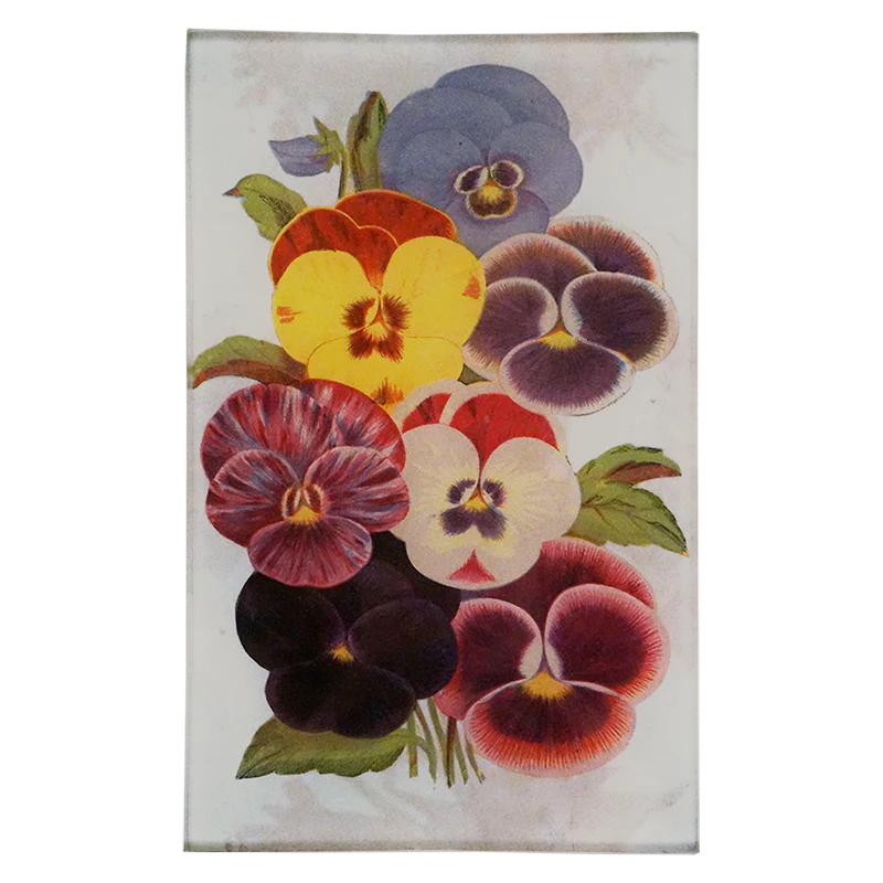 Scrapbook Pansy