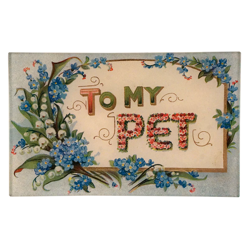 To My Pet