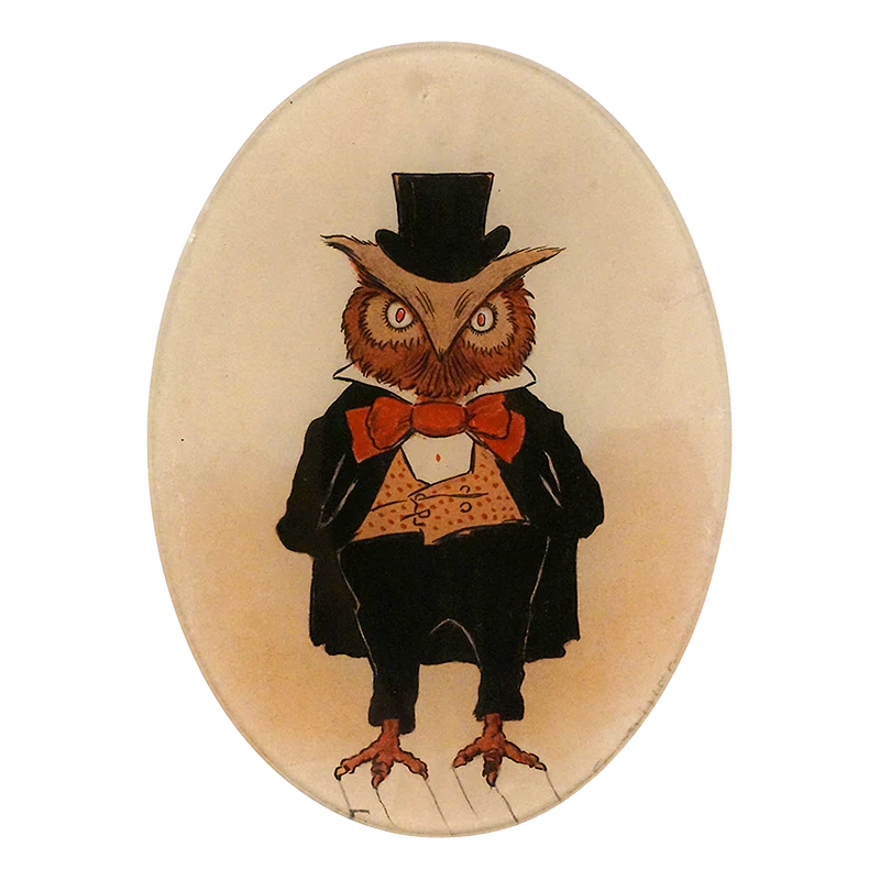Sweet Owl
