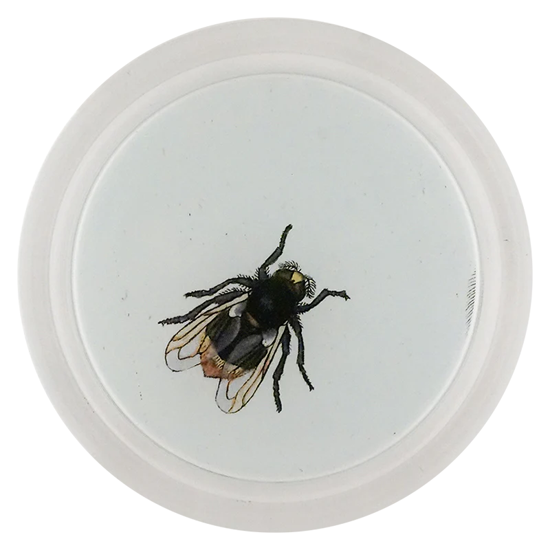 Bumblebee Hoverfly (Bees & Wasps)
