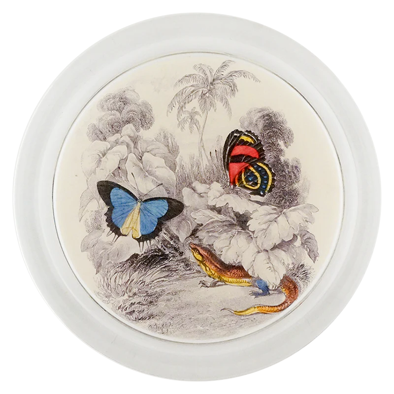 Butterflies with Red Lizard (Entomology)