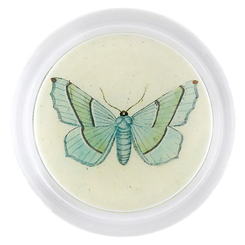 Margaritaria (Butterfly)