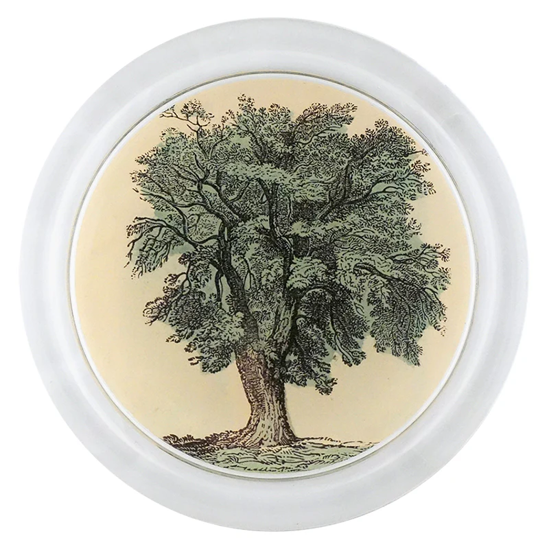Oak Tree