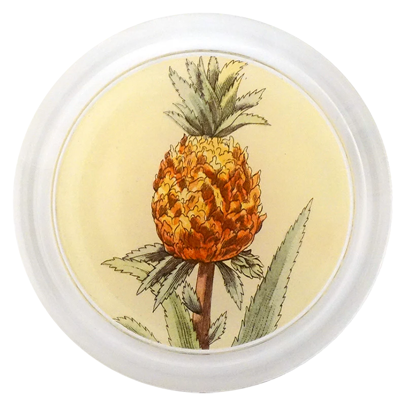Pineapple in a Pot