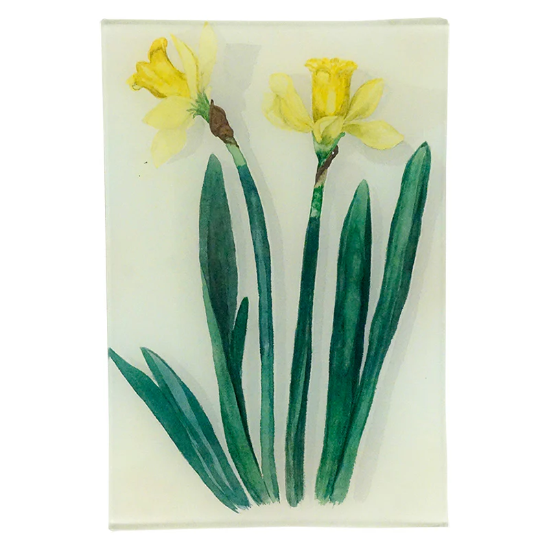 Jonquil