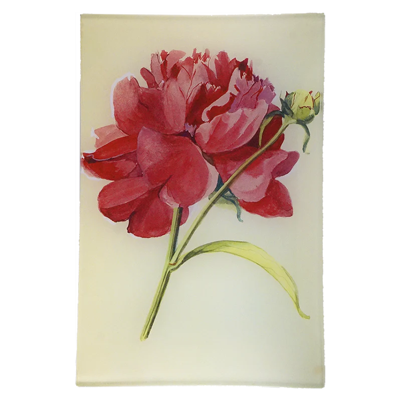 Peony 3