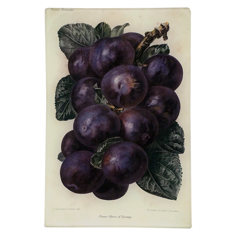 Prune