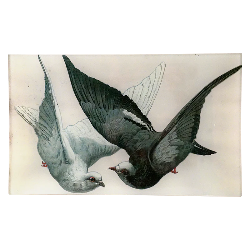 2 Doves