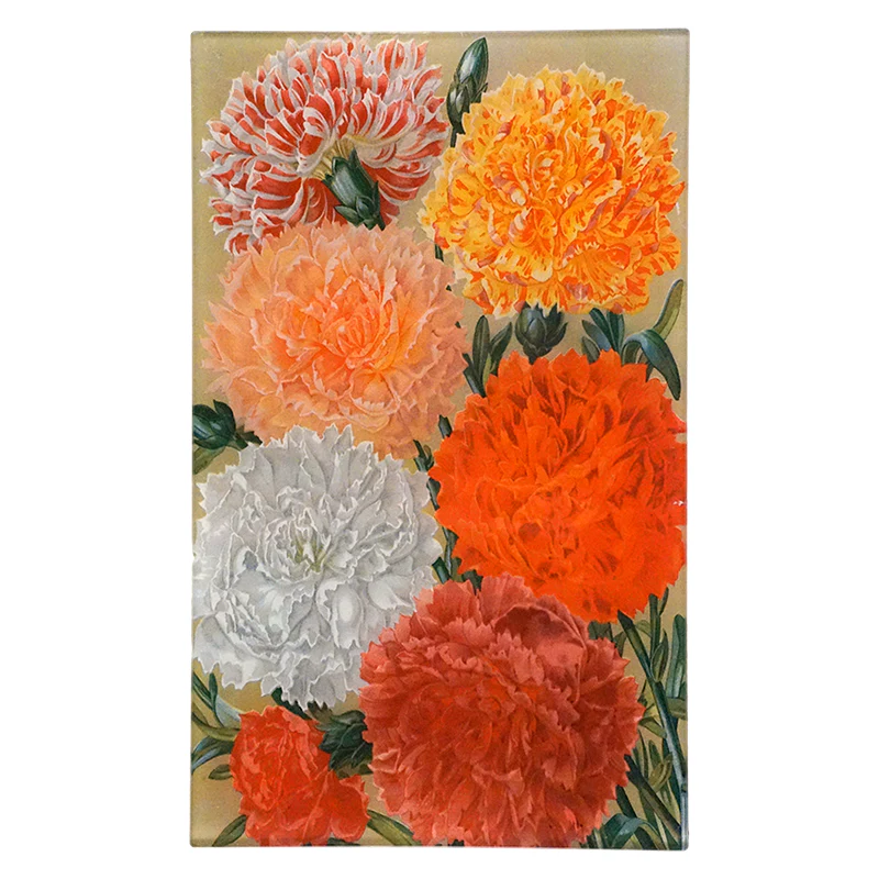 Carnations