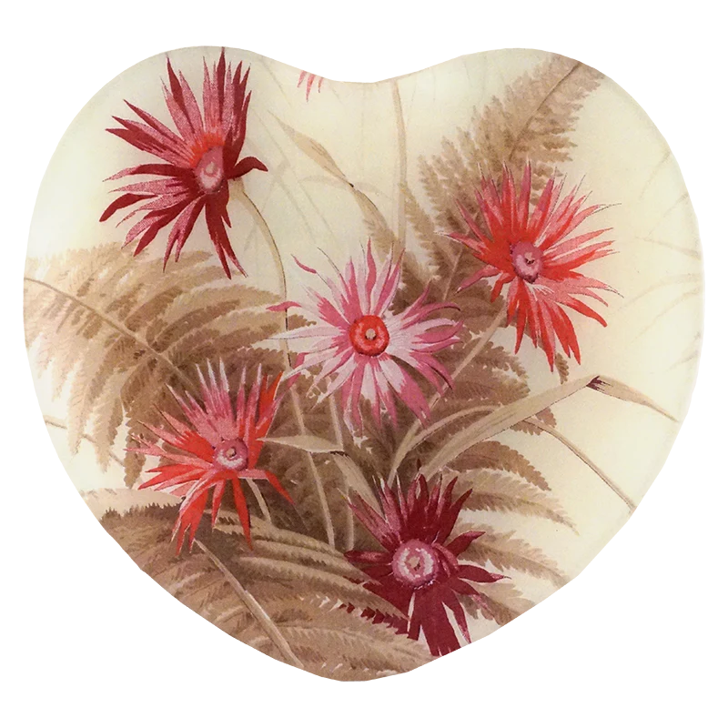 Dianthus Heart