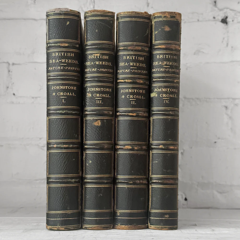 Antique 4-Volume Set: British Seaweeds by Henry Bradbury (1859) - Image 7