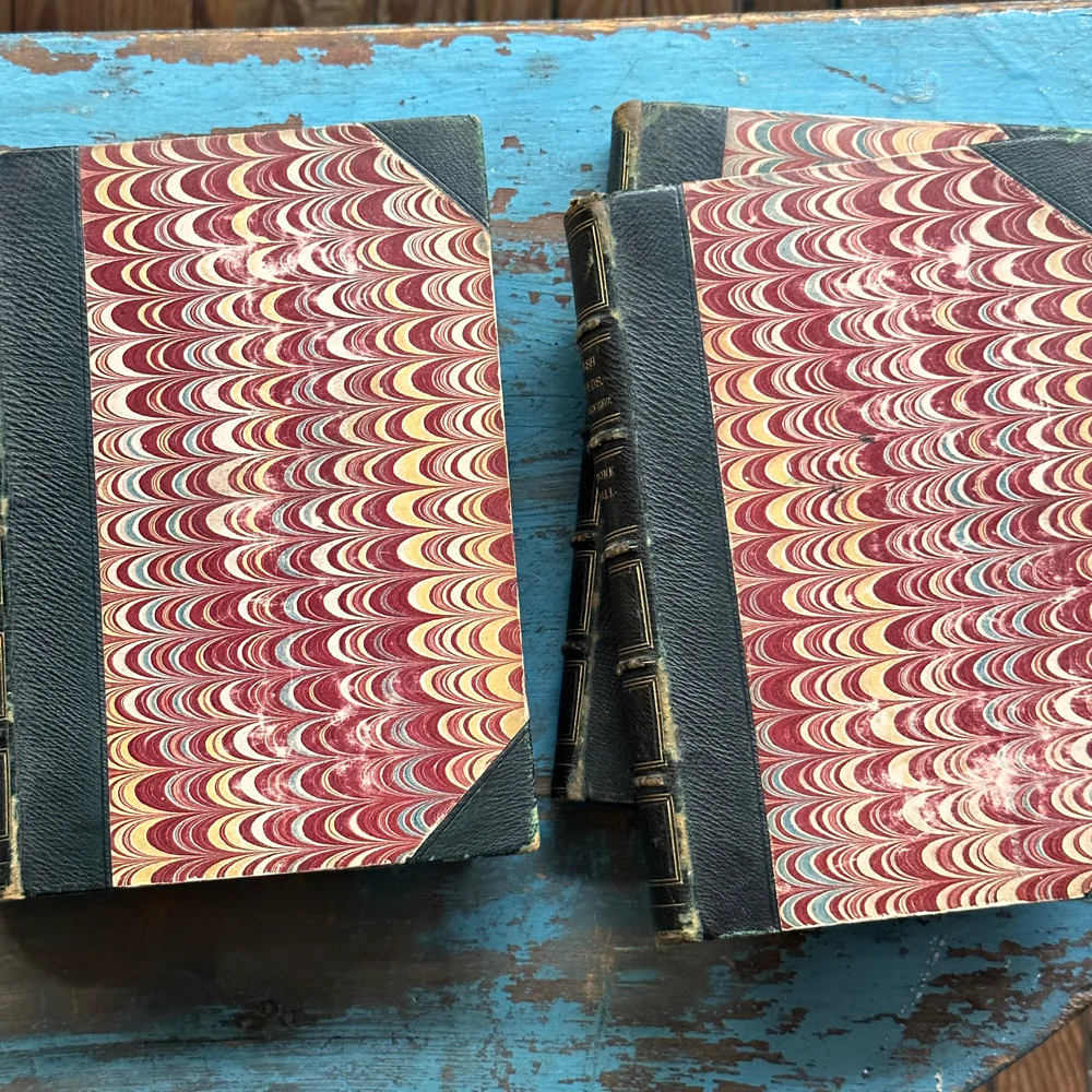 Antique 4-Volume Set: British Seaweeds by Henry Bradbury (1859) - Image 8