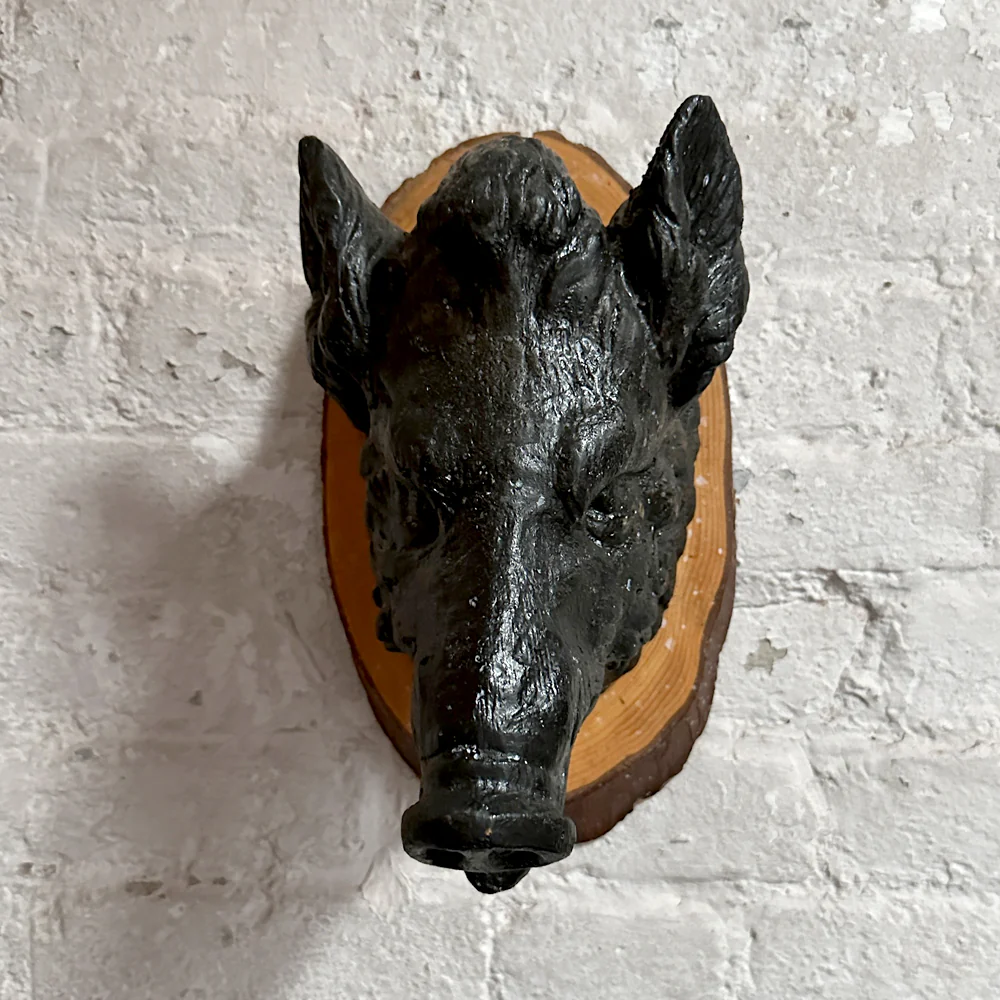 Antique Black Forest Carved Black Boar Head (23B03) - Image 2