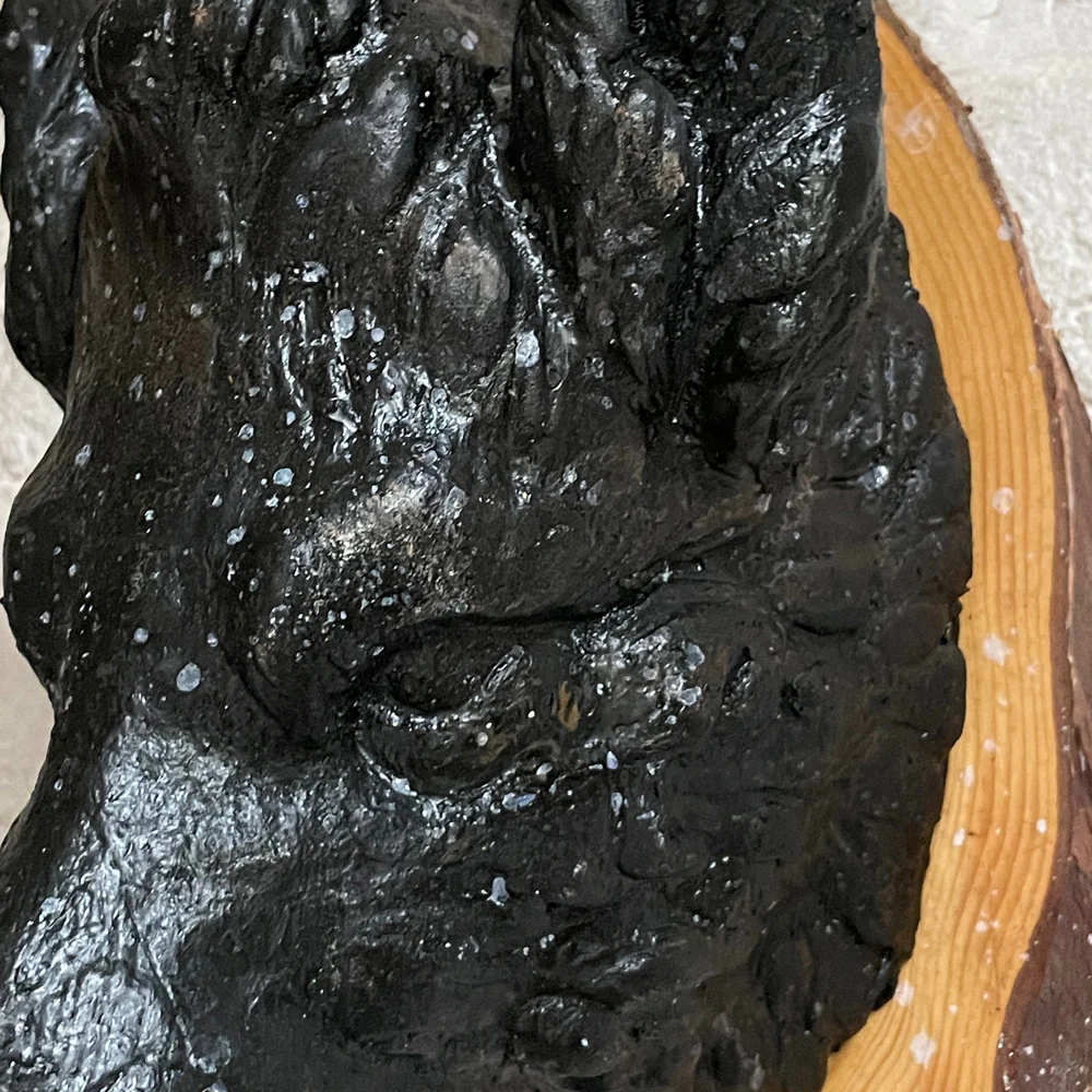 Antique Black Forest Carved Black Boar Head (23B03) - Image 3