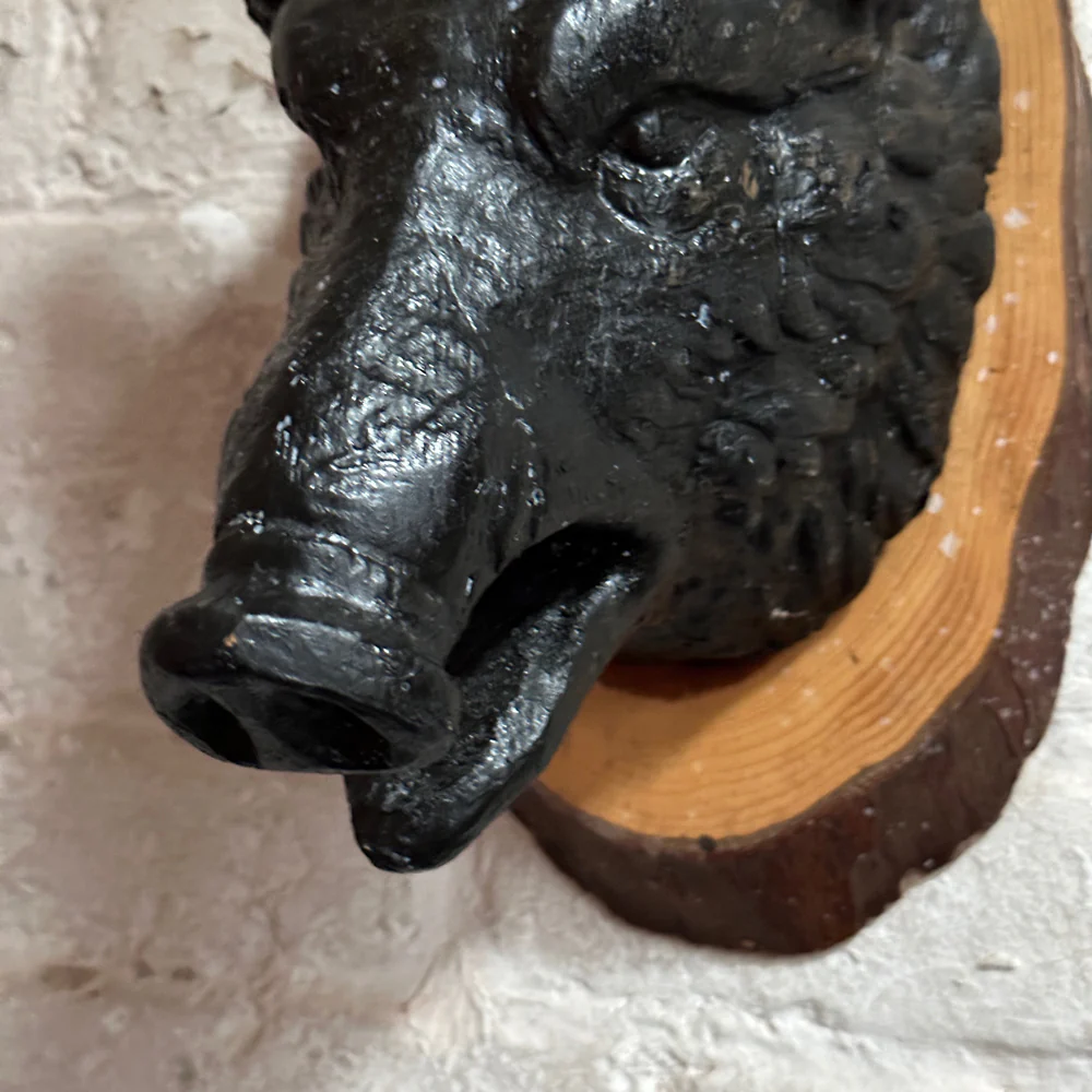 Antique Black Forest Carved Black Boar Head (23B03) - Image 4