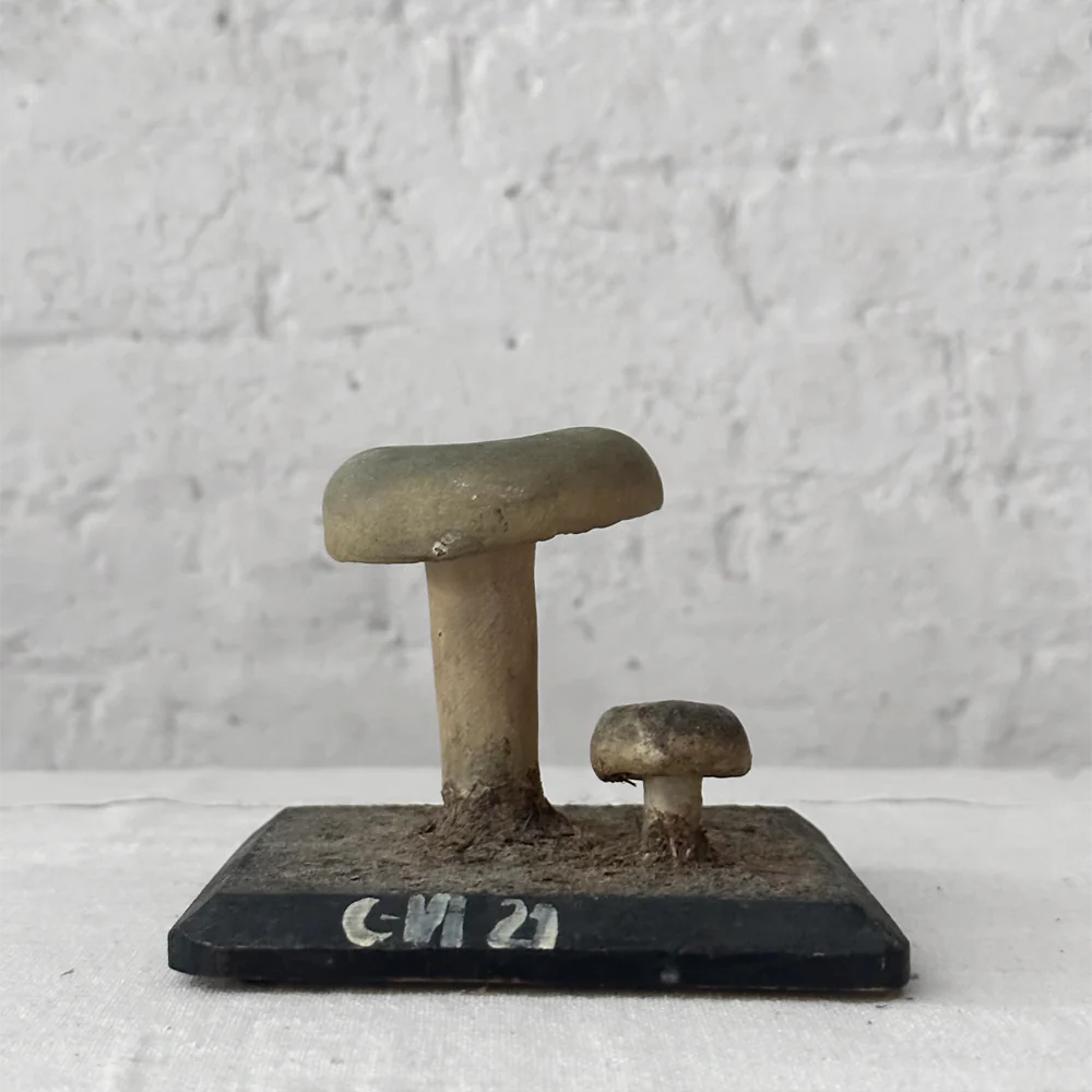 Antique Mushroom Model #5