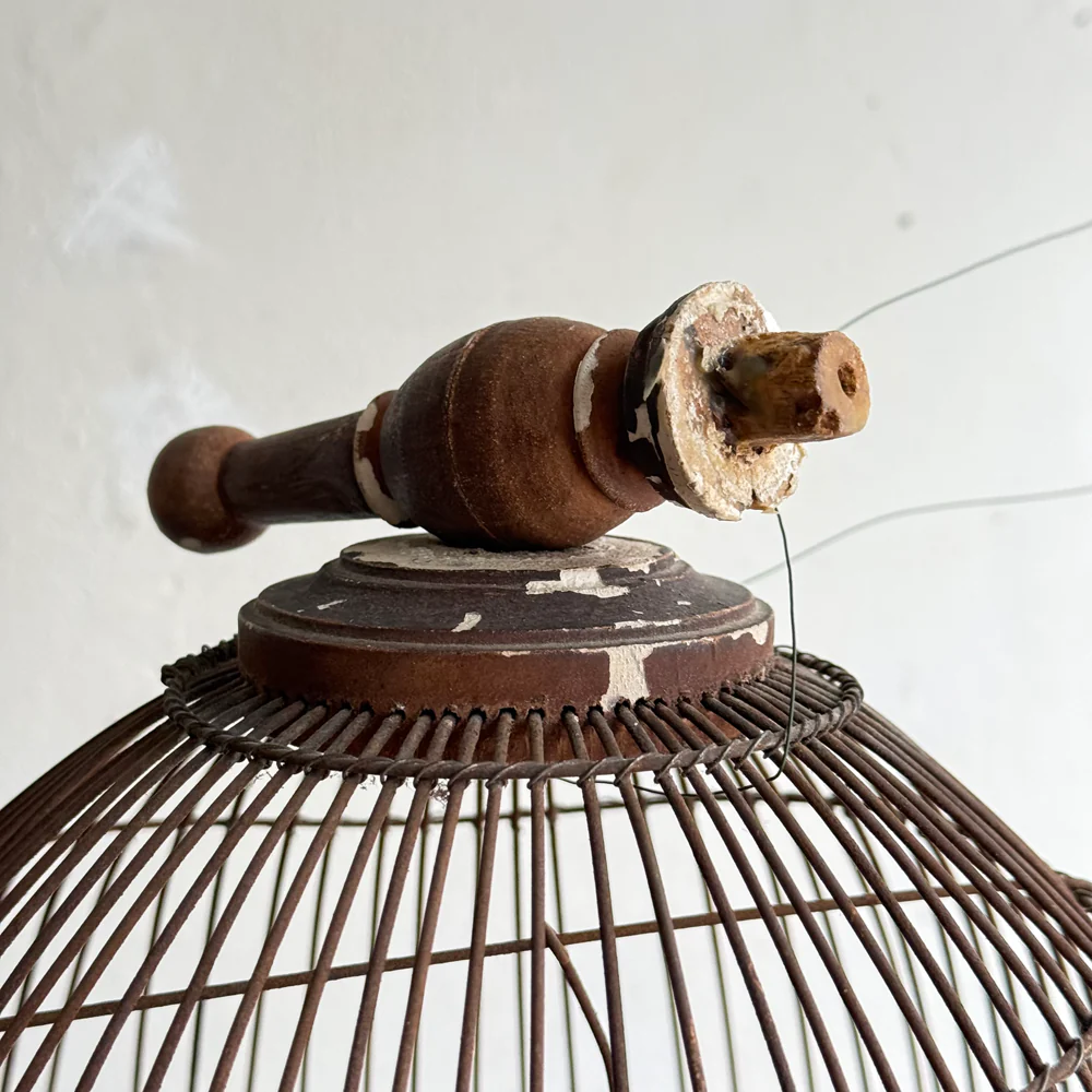 Antique Victorian Dome Top Bird Cage - Image 11