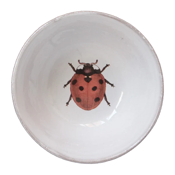 Ladybug Bowl
