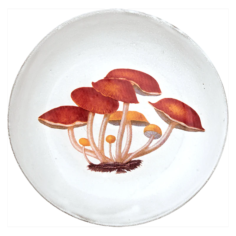 Agaric Amer Soup Bowl