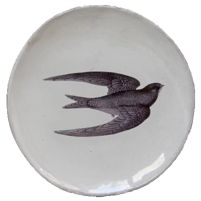 Swift Plate