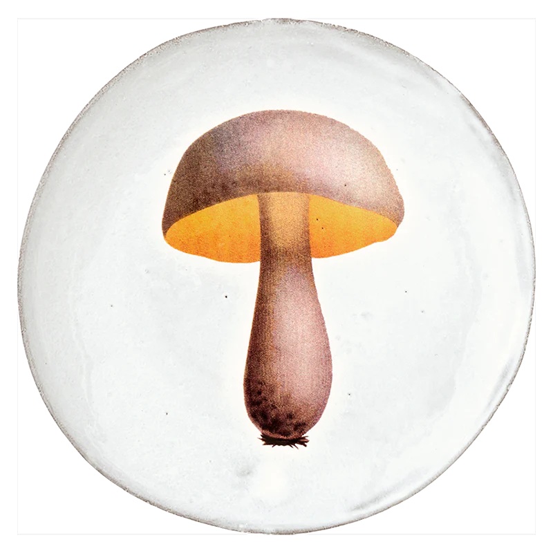 Bolet Blanchatre Plate