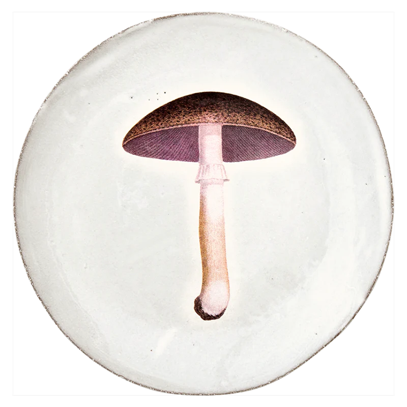 Mauve Champignon Comestible Dinner Plate