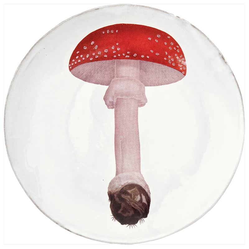Agaric Fausse Orange Umbrella Dinner Plate