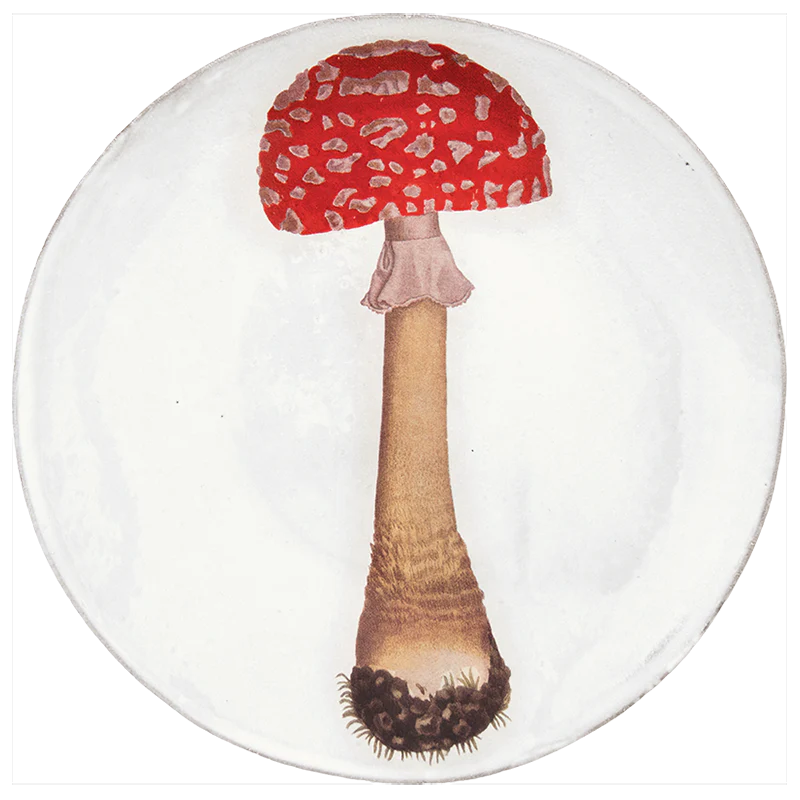 Agaric Fausse Orange Dinner Plate