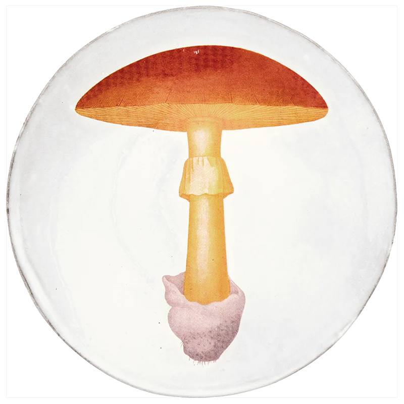Yellow Agaric Orange Dinner Plate