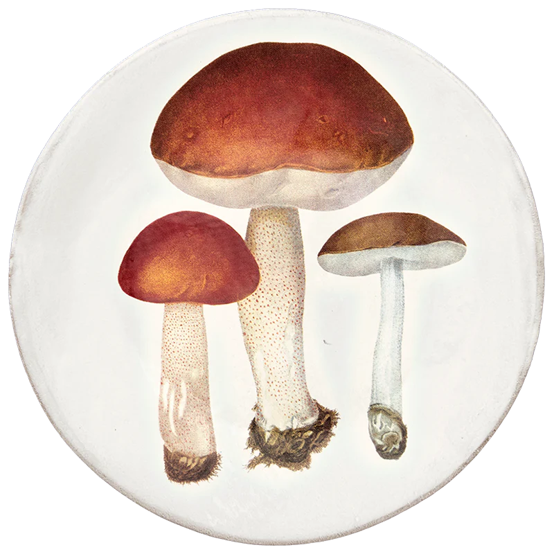 Bolet Rude & Bolet Orange Dinner Plate