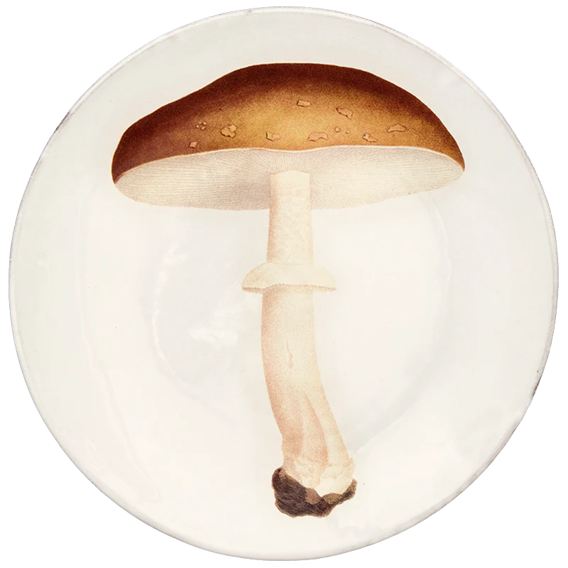 Agaric Blanc Fauve Dinner Plate