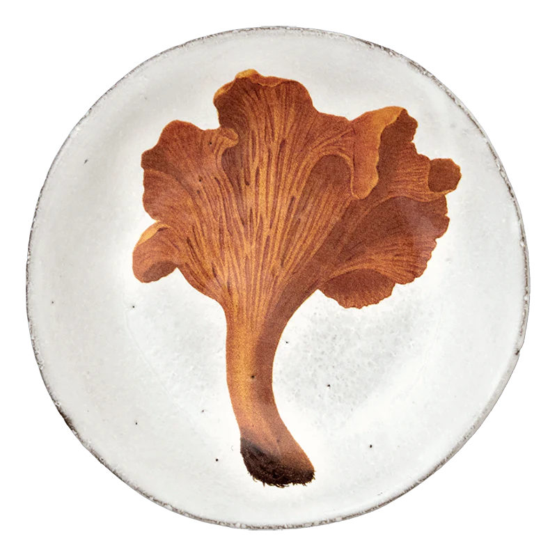 Chanterelle Comestible Plate