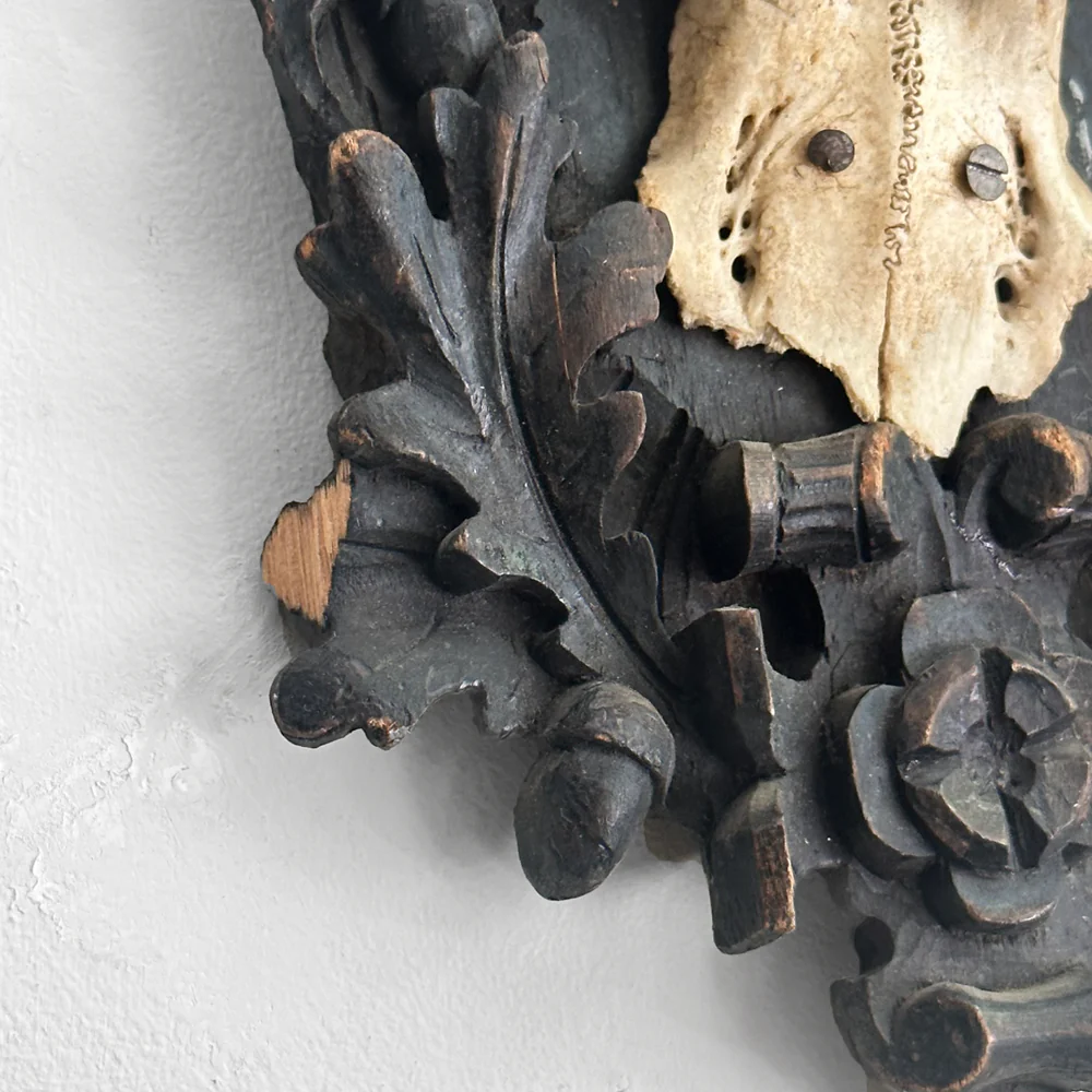 Black Forest Antlers on Carved Plaque (#550) - Image 4