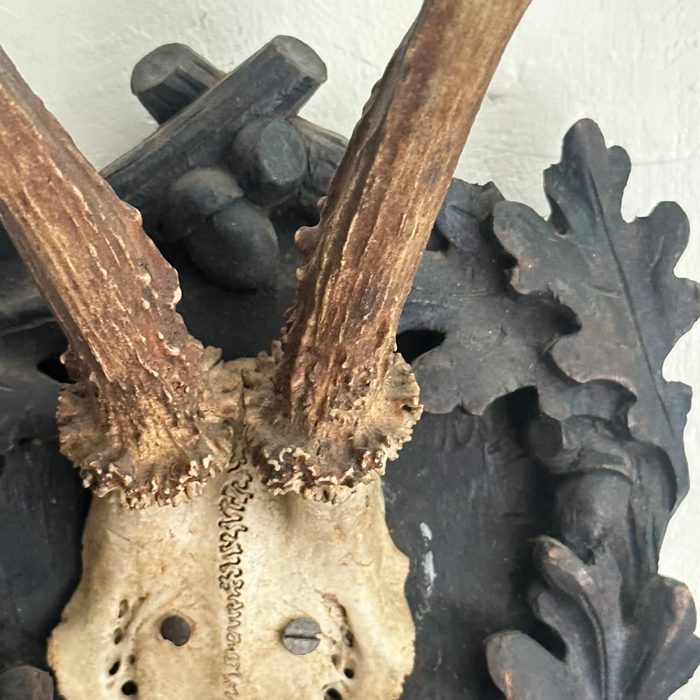 Black Forest Antlers on Carved Plaque (#550) - Image 5
