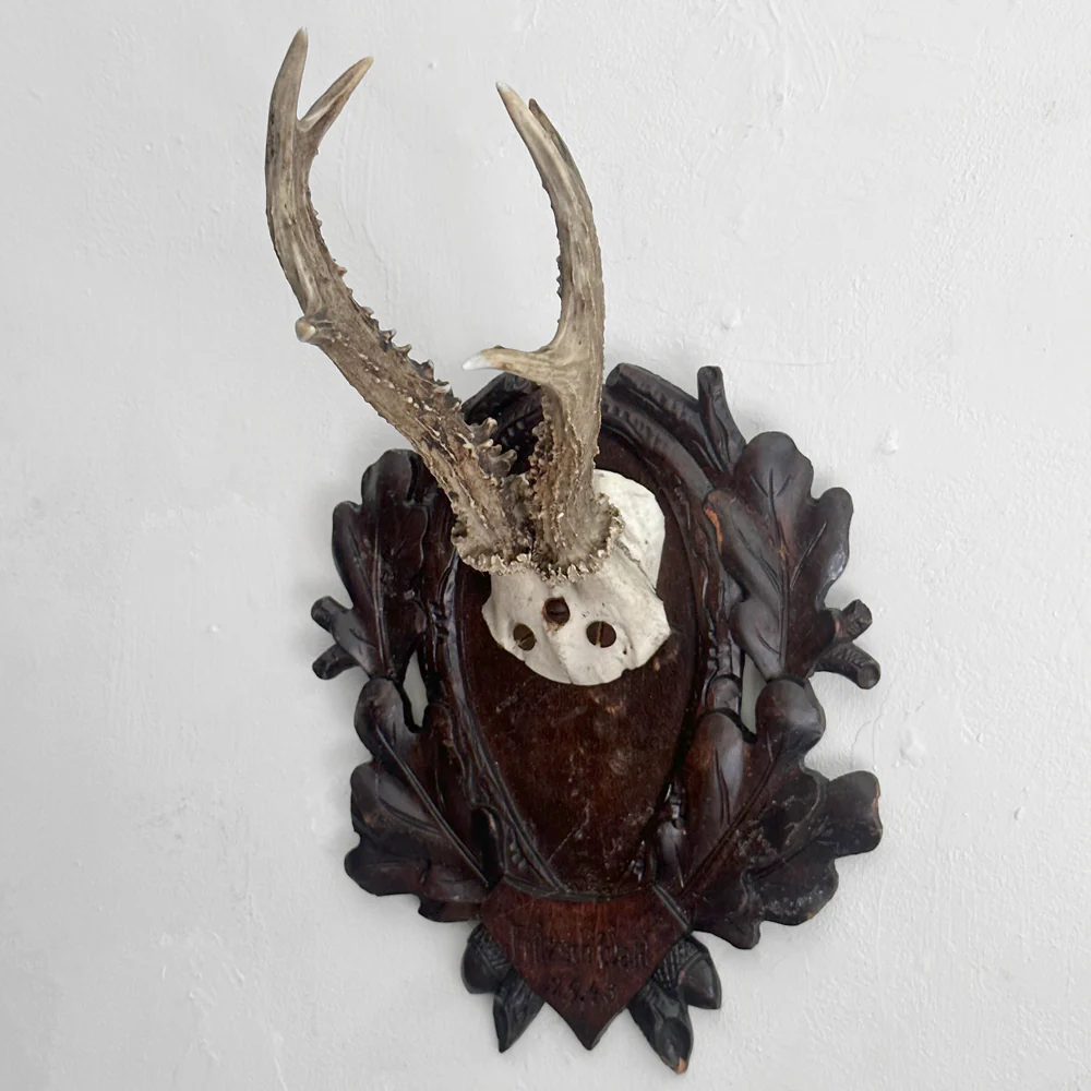 Black Forest Antlers on Carved Plaque (#551) - Image 2