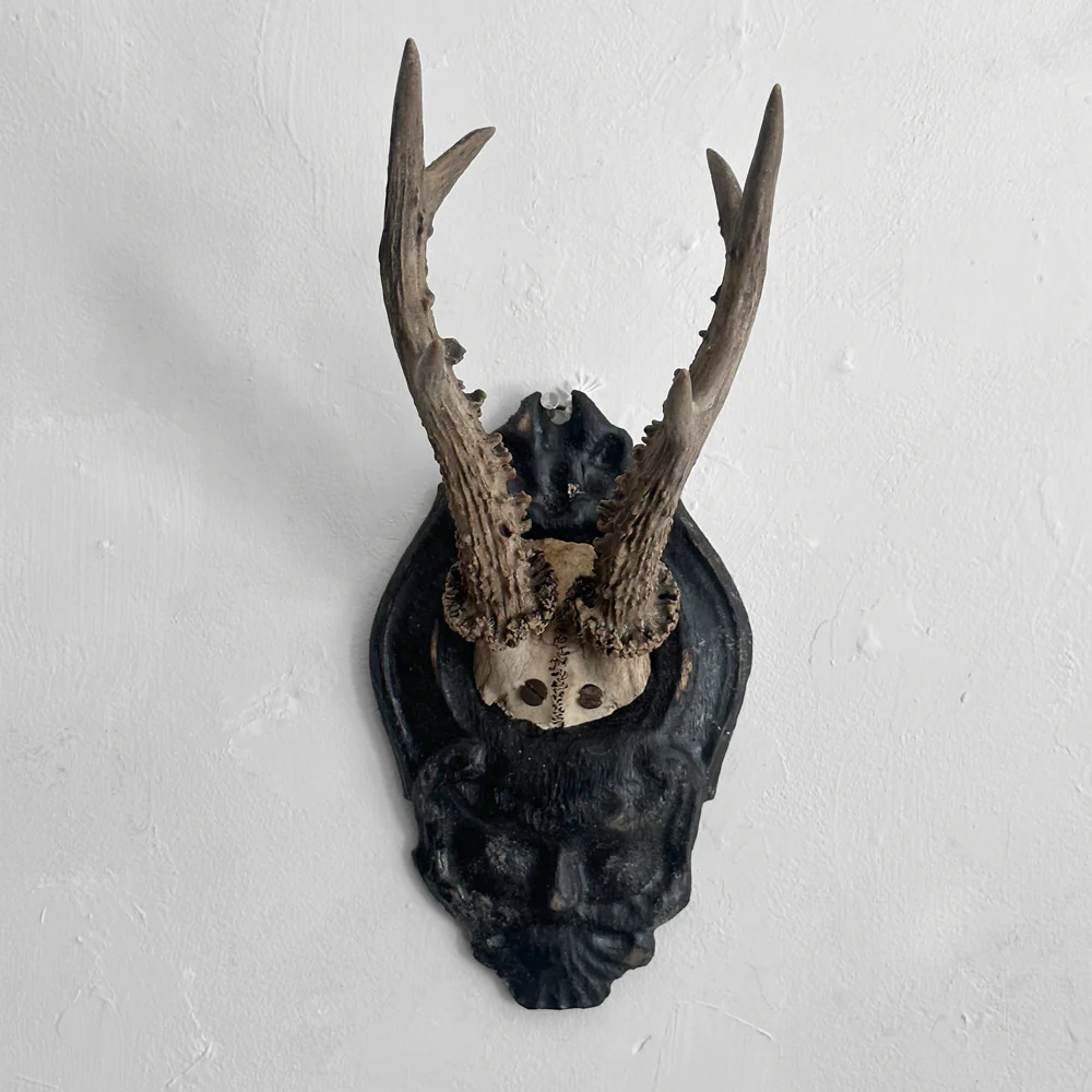 Black Forest Antlers on Carved Plaque (#557)