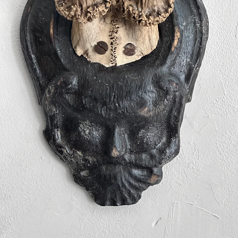 Black Forest Antlers on Carved Plaque (#557) - Image 2