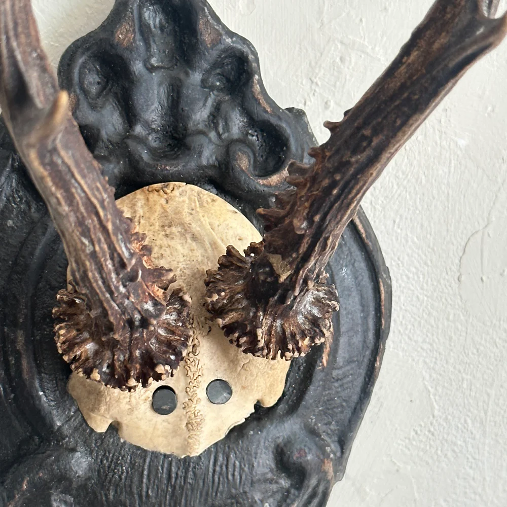 Black Forest Antlers on Carved Plaque (#558) - Image 4