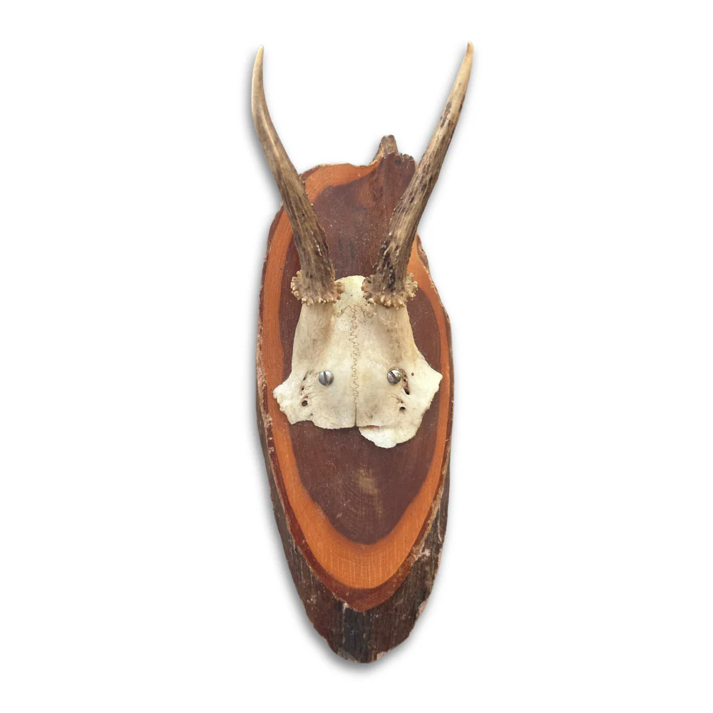 Black Forest Antlers on Plaque (#543)