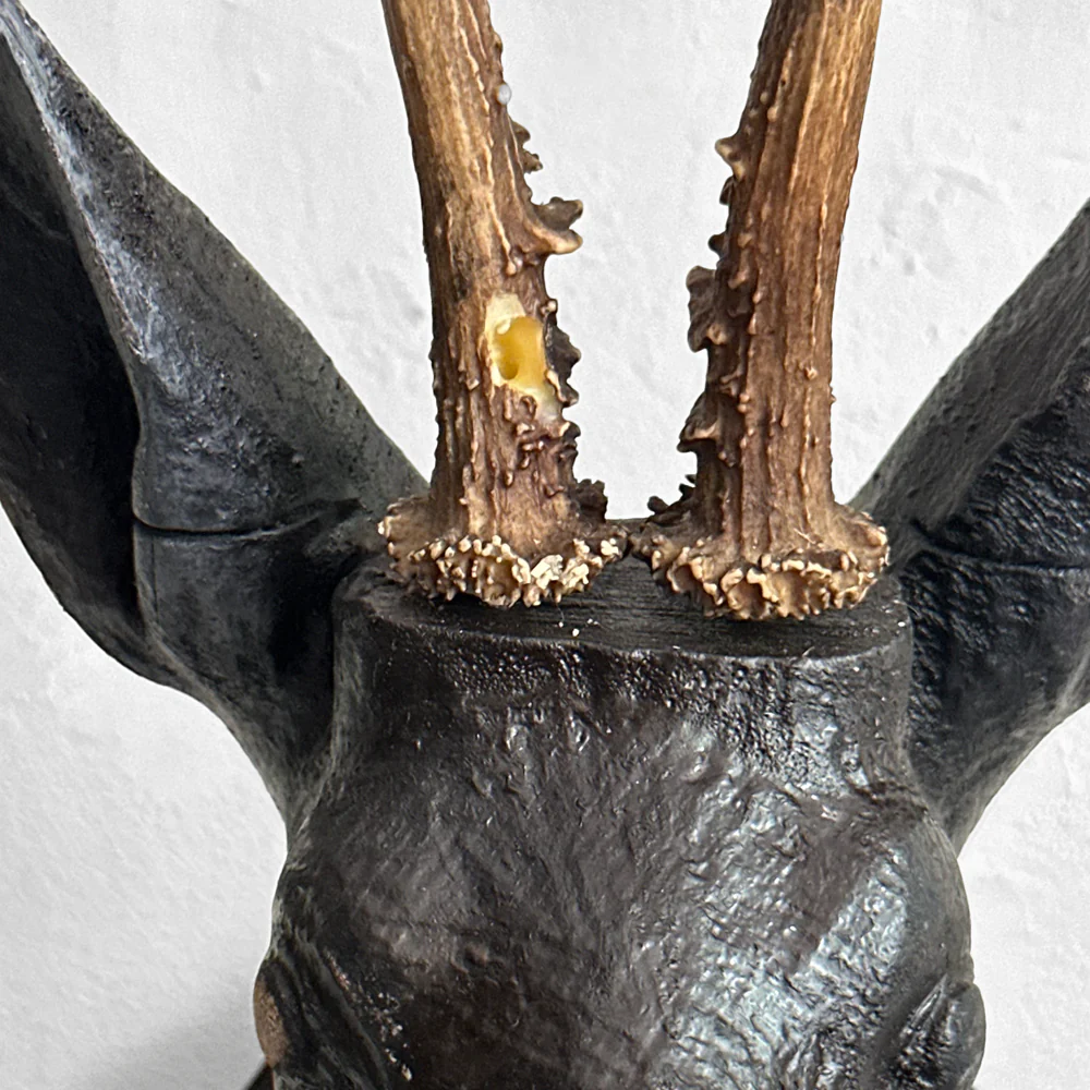Black Forest Carved Deer (#547) - Image 3