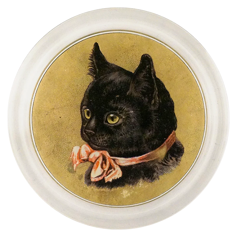 Black Kitten