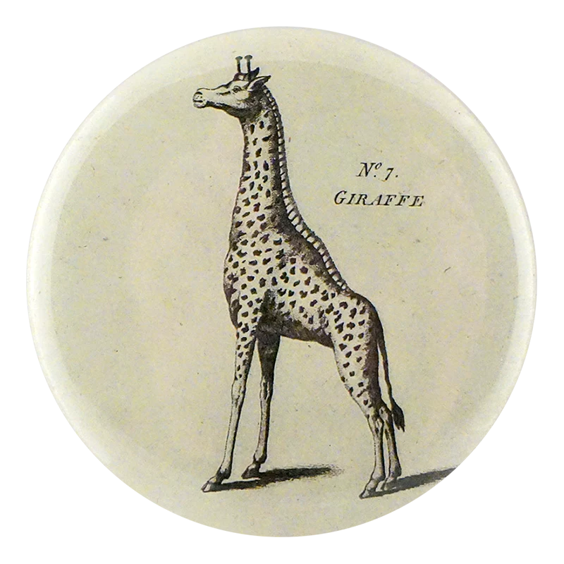 Black & White Giraffe