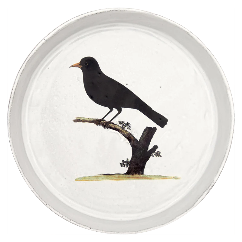 Blackbird Dish