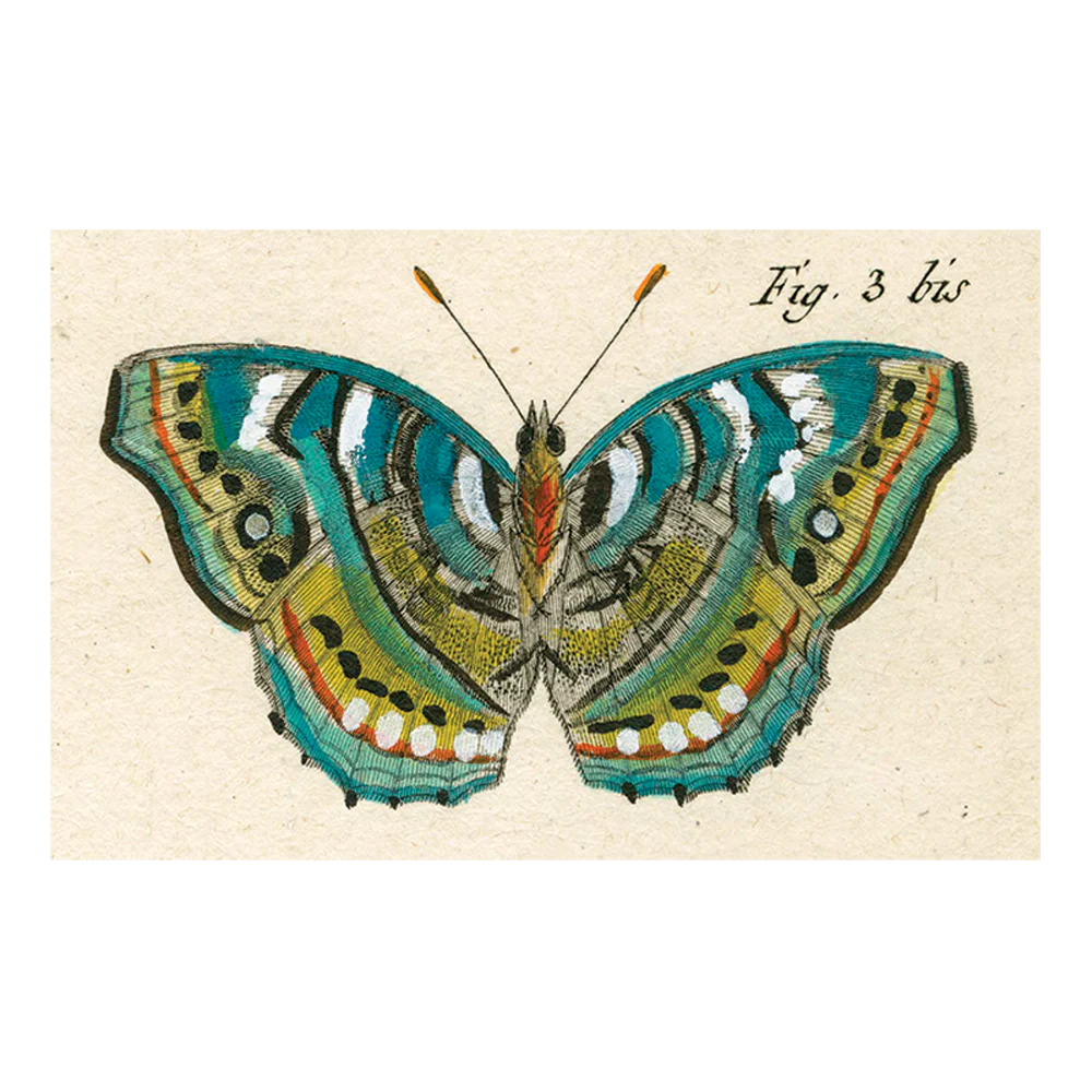 Blue Green Butterfly