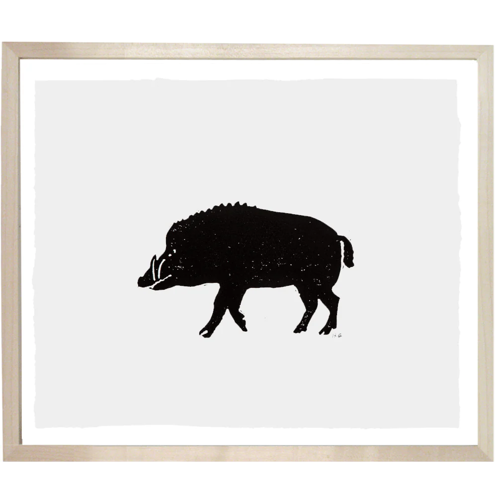 Boar